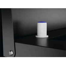 Detailansicht eines weißen Möbelknopfes mit blauer Spitze