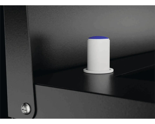 Detailansicht eines weißen Möbelknopfes mit blauer Spitze