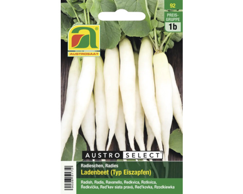 Radieschen-Samen der Sorte Eiszapfen