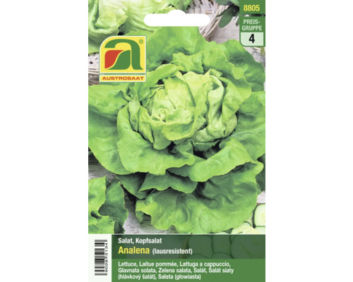 Salatsamen Austrosaat Kopfsalat 'Analena' Salatsamen Analena, Kopfsalat, lausresistent