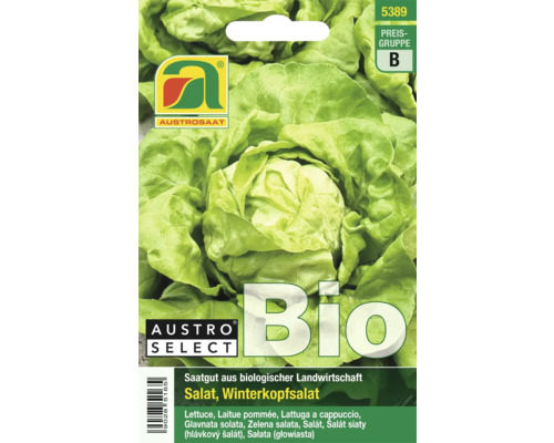 Samenpackung für Bio Winterkopfsalat