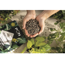 Eine Handvoll Lechuza Pon Pflanzsubstrat über einer Packung und Pflanzen