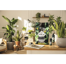 LECHUZA-PON Pflanzsubstrat für Zimmerpflanzen auf einem Tisch mit Zimmerpflanzen