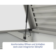 Geöffnete Metallgartenbox mit zwei integrierten Dämpfern