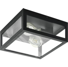 Schwarze Deckenleuchte mit klarem Glas und zwei Leuchtmitteln