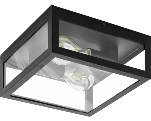 Schwarze Deckenleuchte mit klarem Glas und zwei Leuchtmitteln