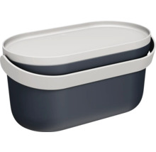 Ovale Aufbewahrungsbox aus Kunststoff mit Deckel und Tragegriff in Blau und Grau.