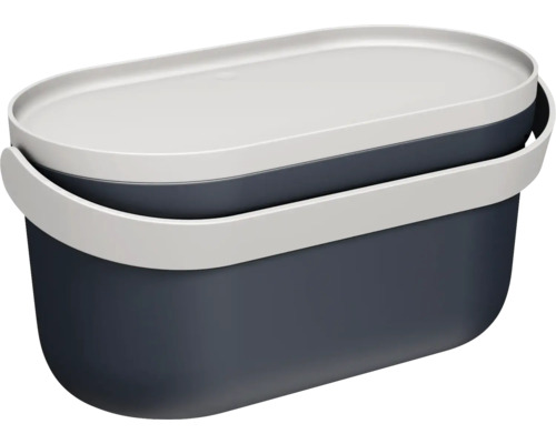 Ovale Aufbewahrungsbox aus Kunststoff mit Deckel und Tragegriff in Blau und Grau.