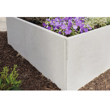 Hochbeet aus Beton mit blühenden Pflanzen