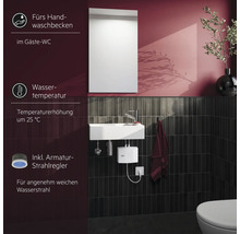Gäste WC mit Handwaschbecken, Spiegel, Armatur, Durchlauferhitzer und WC