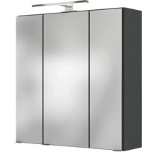 Dreitüriger Spiegelschrank mit LED-Aufsatzleuchte und dunkelgrauem Korpus.