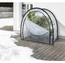 Gewächshaus-Tunnel mit Pflanzen auf einer Holzterrasse im Winter