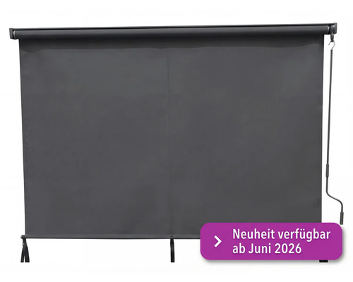 Dunkelgraues Rollo für Fenster und Türen