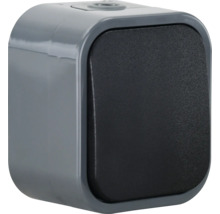 Ein grauer Aufputz-Schalter mit schwarzem Schalter