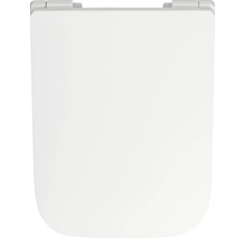 Toilettendeckel aus Kunststoff