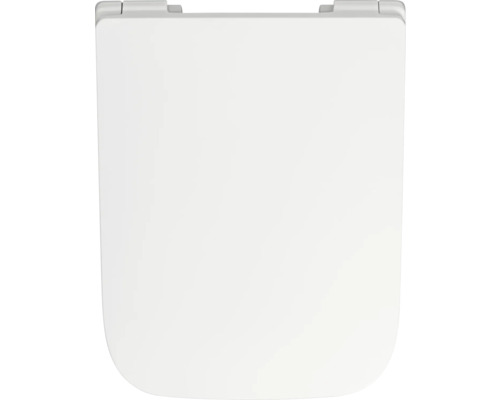 Toilettendeckel aus Kunststoff