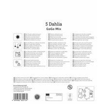 Verpackung mit 5 Dahlien der Sorte GoGo Mix mit Pflanzhinweisen und Entsorgungshinweisen
