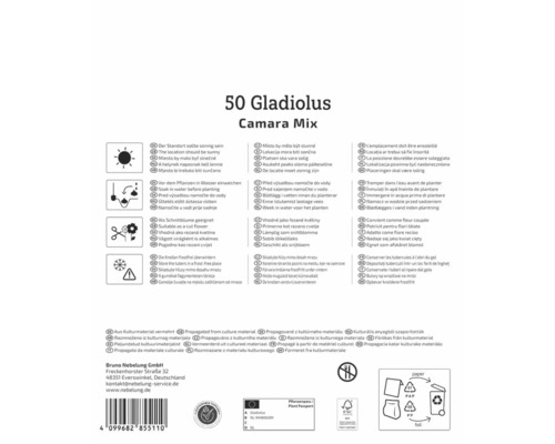 Verpackung Gladiolus Camara Mix mit Pflanzanweisungen und Logos