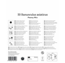 Verpackung von 50 Ranunkeln asiaticus Peony Mix mit Pflanzanleitung