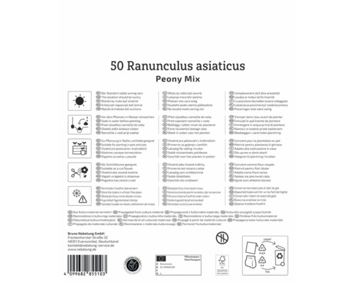 Verpackung von 50 Ranunkeln asiaticus Peony Mix mit Pflanzanleitung