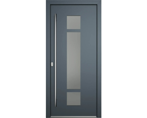 Haustür mit Glaseinsätzen und Edelstahlgriff