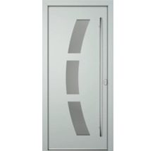 Haustür mit Glaseinsatz und Stangengriff