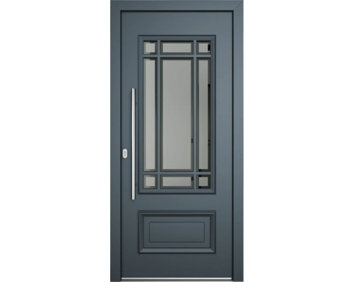 Haustür mit Glaseinsatz und Stangengriff