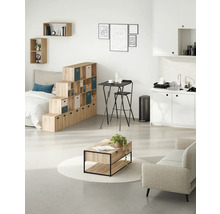 Helles Wohnzimmer mit Regalsystem, Tisch, Stuhl, Sofa und Küchenzeile.