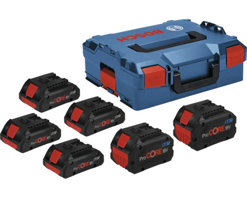 Bosch Akku Set mit sieben Akkus und Aufbewahrungskoffer