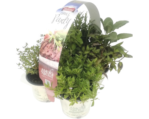 Grillparty Kräutertopf mit Thymian, Rosmarin, Oregano und Salbei