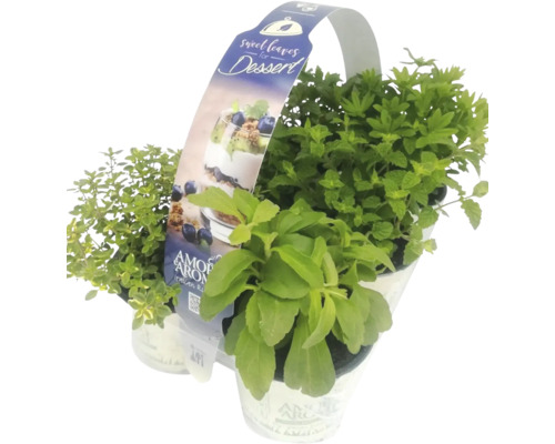 Korb mit Dessertkräutern