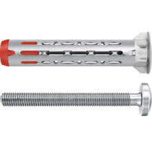 Fischer Metallrahmendübel und Schraube
