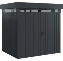 Metall Gerätehaus mit Tür und Oberlicht