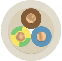 Querschnitt eines Stromkabels mit drei Adern