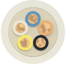 Querschnitt eines Elektrokabels mit fünf Adern