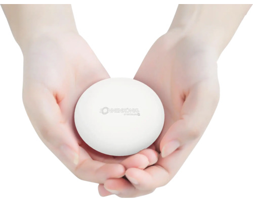 Sonnenkönig Logo auf einem runden Produkt, gehalten in zwei Händen