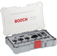 Bosch Oberfräser-Set, 6-teilig, in grauer Aufbewahrungsbox mit transparentem Deckel und rotem Verschluss.