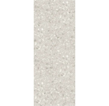 Dekorplatte mit Terrazzo Muster