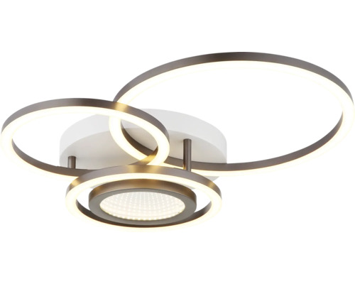 Deckenleuchte mit kreisförmigem Designelement für Innenräume