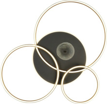 Moderne Deckenleuchte mit kreisförmigem Design und LED-Beleuchtung