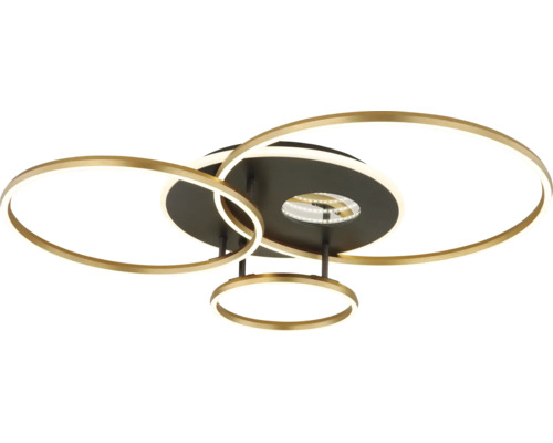 Deckenleuchte mit ringförmigem Design