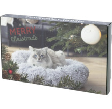 Katzen-Adventskalender mit Katzenmotiv