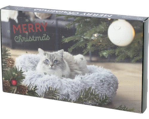 Katzen-Adventskalender mit Katzenmotiv