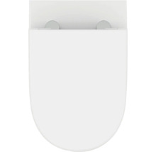 Ovaler weißer Toilettensitz mit Deckel und Scharnieren.