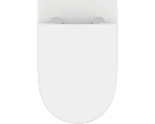 Ovaler weißer Toilettensitz mit Deckel und Scharnieren.