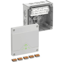 Abzweigdose mit Klemmen und IP66 Schutzart