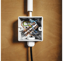 Installationsdose mit elektrischen Kabeln und Verbindungsklemmen