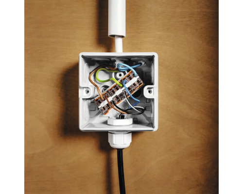 Installationsdose mit elektrischen Kabeln und Verbindungsklemmen