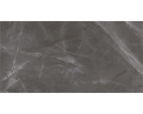 Dunkelgraue Fliese mit Marmoroptik und hellen Maserungen.