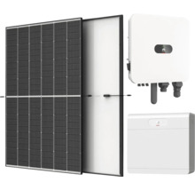 Photovoltaik-Set bestehend aus Solarmodulen, einem Wechselrichter und einem Batteriespeicher.
